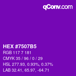 カラーコード: HEX #7507B5 | qconv.com
