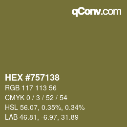 Farbcode: HEX #757138 | qconv.com