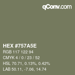 Color code: HEX #757A5E | qconv.com