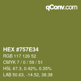 Color code: HEX #757E34 | qconv.com