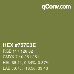Color code: HEX #757E3E | qconv.com