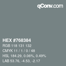 Color code: HEX #768384 | qconv.com