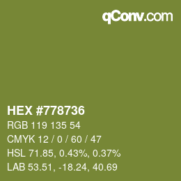颜色代码: HEX #778736 | qconv.com