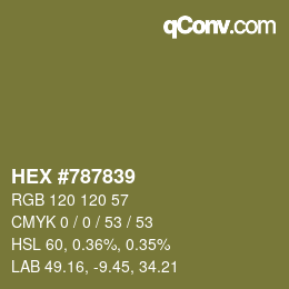 Color code: HEX #787839 | qconv.com
