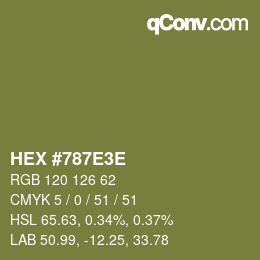 Color code: HEX #787E3E | qconv.com