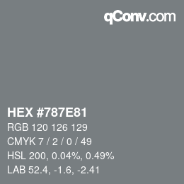 颜色代码: HEX #787E81 | qconv.com