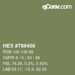 颜色代码: HEX #788458 | qconv.com
