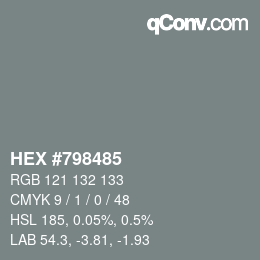 Color code: HEX #798485 | qconv.com