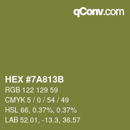 Color code: HEX #7A813B | qconv.com