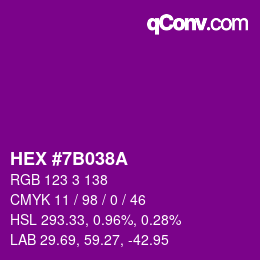 Color code: HEX #7B038A | qconv.com