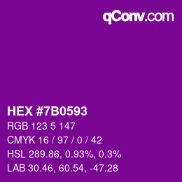 Color code: HEX #7B0593 | qconv.com
