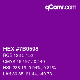 Color code: HEX #7B0598 | qconv.com
