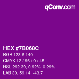 Color code: HEX #7B068C | qconv.com