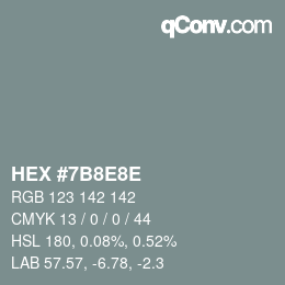 Code couleur: HEX #7B8E8E | qconv.com