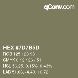 Color code: HEX #7D7B5D | qconv.com