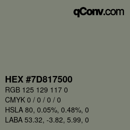 Color code: HEX #7D817500 | qconv.com