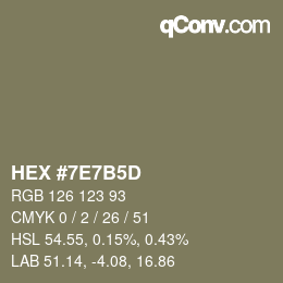 Color code: HEX #7E7B5D | qconv.com