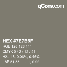 Color code: HEX #7E7B6F | qconv.com