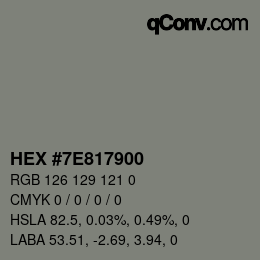 Color code: HEX #7E817900 | qconv.com