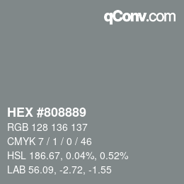 Color code: HEX #808889 | qconv.com