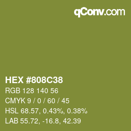 Color code: HEX #808C38 | qconv.com