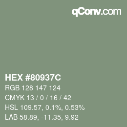 Color code: HEX #80937C | qconv.com