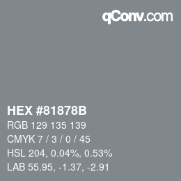 Color code: HEX #81878B | qconv.com