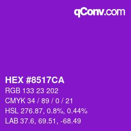Color code: HEX #8517CA | qconv.com