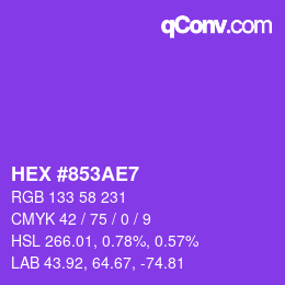 Color code: HEX #853AE7 | qconv.com