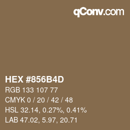 Farbcode: HEX #856B4D | qconv.com