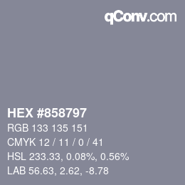 Color code: HEX #858797 | qconv.com