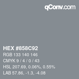 Color code: HEX #858C92 | qconv.com