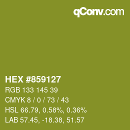 颜色代码: HEX #859127 | qconv.com