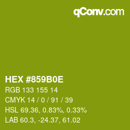 Color code: HEX #859B0E | qconv.com