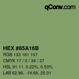 Color code: HEX #85A16B | qconv.com