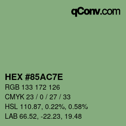 Color code: HEX #85AC7E | qconv.com