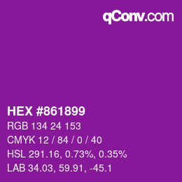 Color code: HEX #861899 | qconv.com