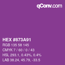 Color code: HEX #873A91 | qconv.com