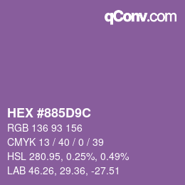 Color code: HEX #885D9C | qconv.com