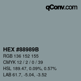 Color code: HEX #88989B | qconv.com