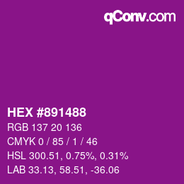 颜色代码: HEX #891488 | qconv.com