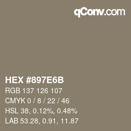 Color code: HEX #897E6B | qconv.com