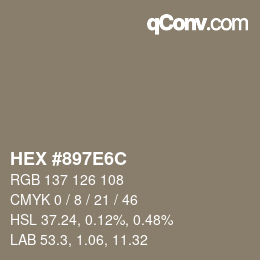 Color code: HEX #897E6C | qconv.com