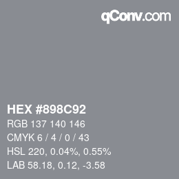 Color code: HEX #898C92 | qconv.com