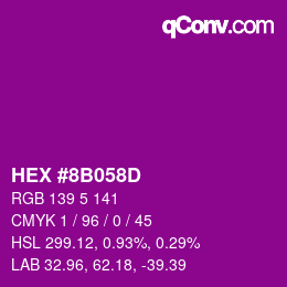 Color code: HEX #8B058D | qconv.com