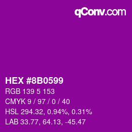Color code: HEX #8B0599 | qconv.com