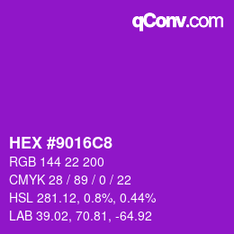 カラーコード: HEX #9016C8 | qconv.com