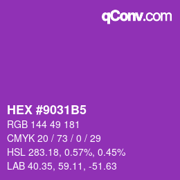 Color code: HEX #9031B5 | qconv.com