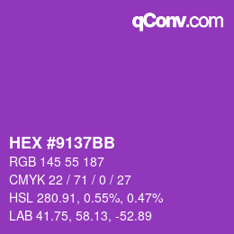 Color code: HEX #9137BB | qconv.com