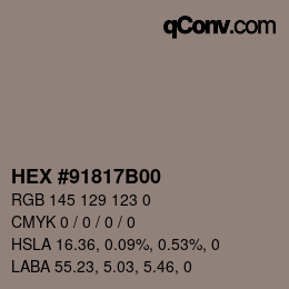 Color code: HEX #91817B00 | qconv.com